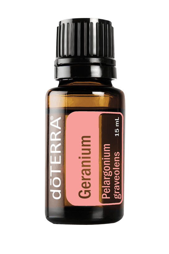 Geranium - Single Oil - doTERRA – Honey on the Hill Geranium - Single Oil - doTERRA – Honey on the Hill