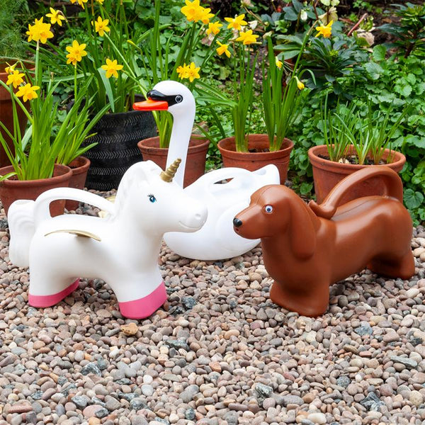 Sausage Dog Watering Can - Rex London