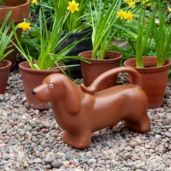 Sausage Dog Watering Can - Rex London