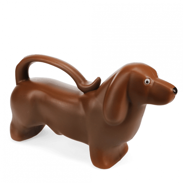 Sausage Dog Watering Can - Rex London
