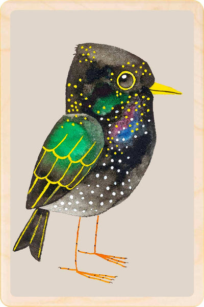Illustration of a bird with black and green feathers and a yellow beak on a beige background