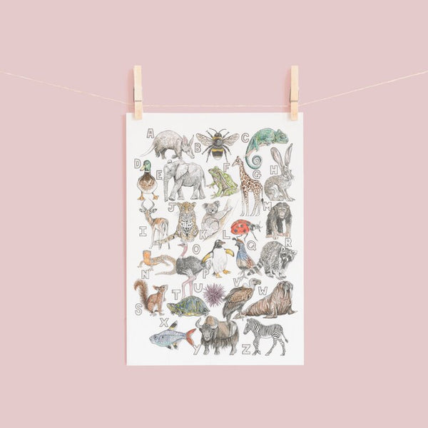 Animal Alphabet Print - A4 - Kathryn Pow Art