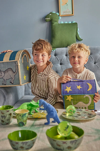 Kids Raffia Dinosaur Theme Bag - Rice DK