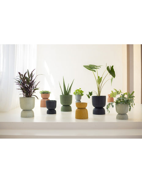 Twist Plant Baskets - Handed By