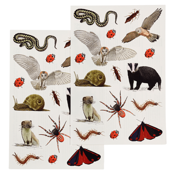 Nature Trail Temporary Tattoos - Rex London