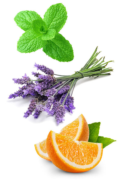 Adaptiv Touch Rollerball Ingredients - doTERRA