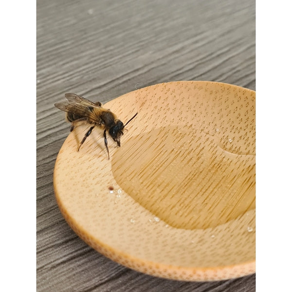 Bee Rescue Kit - Nature Nurture Kids