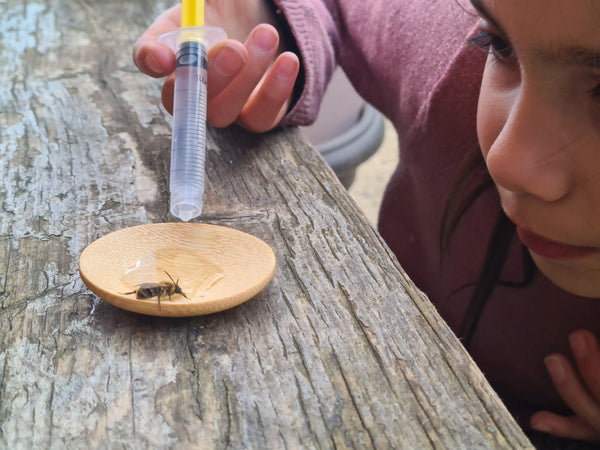 Bee Rescue Kit - Nature Nurture Kids