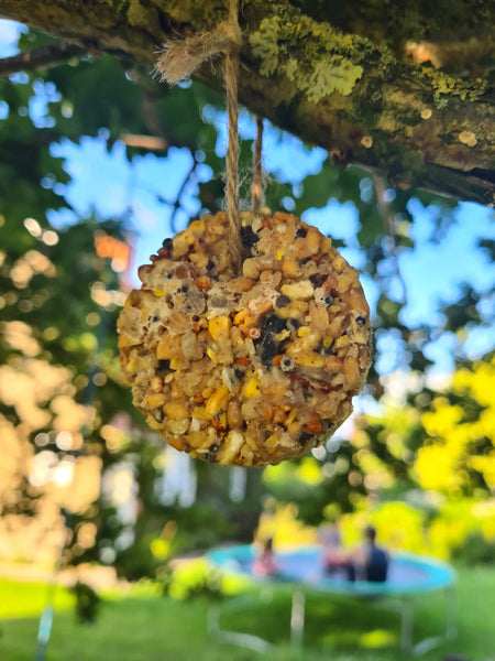Animal Food Kit - Nature Nurture Kids