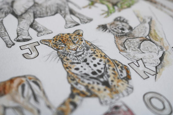 Animal Alphabet Print - Kathryn Pow Art