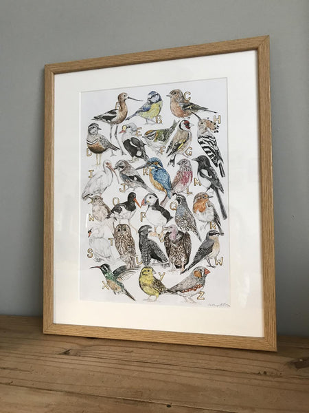 Bird Alphabet Print - Kathryn Pow Art