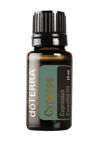 Cypress - Single Oil - doTERRA