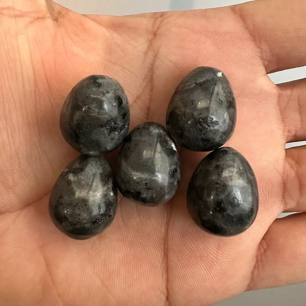 Five black stones on a person's palm