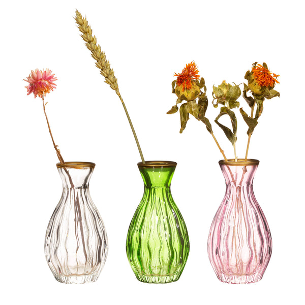 Three glass vases with floral and dried plant decorations on a white background