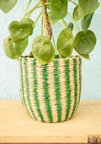 Woven plant pot with green and beige stripes on a wooden surface against a light blue wall.