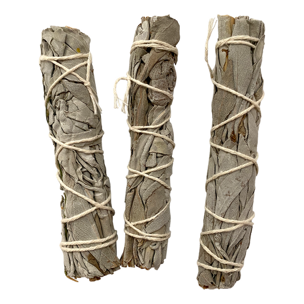 Three bundles of sage wrapped in twine on a white background