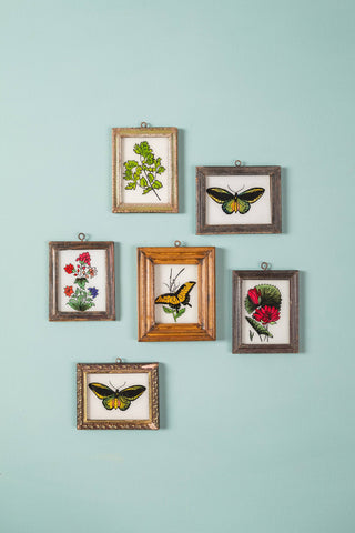 Set of framed botanical illustrations on a light blue wall