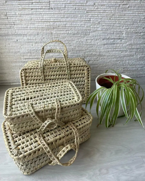 Woven baskets with a plant on a light surface