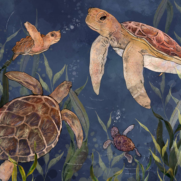 Sea Turtles & Seaweed Greeting Card - Where The Wildlings Roam