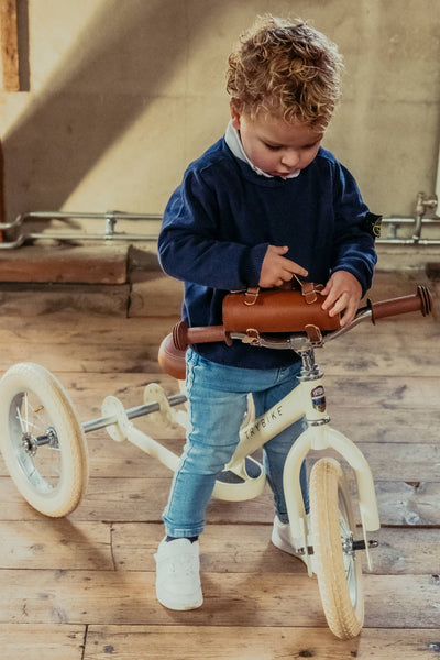 Handlebar Bag Bicycle/Trike Accessory - Trybike