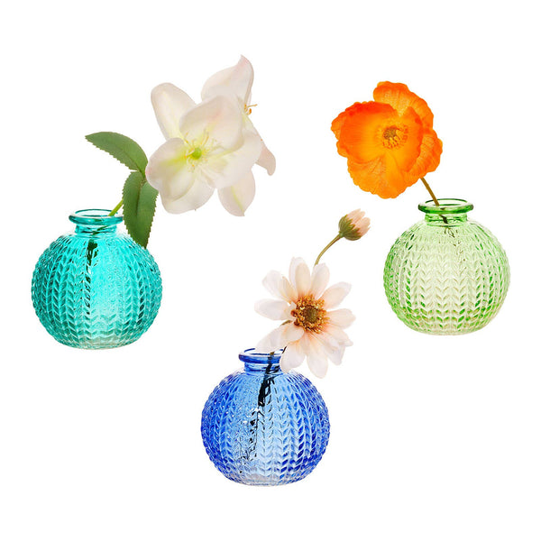 Three colorful glass vases with flowers on a white background