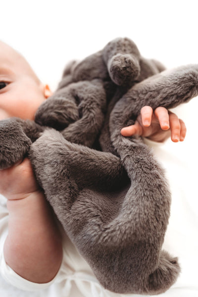 Baby holding a grey plush elephant snuggler with a white background