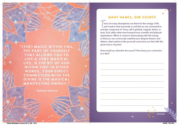 Positive Manifestation Journal - Hay House