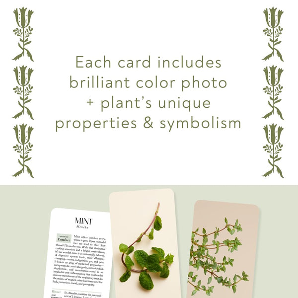 Botanicals Deck: 70 Plants and Flowers to Enhance Your Life