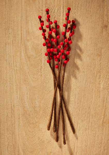 Bouquet of red berries on a wooden surface