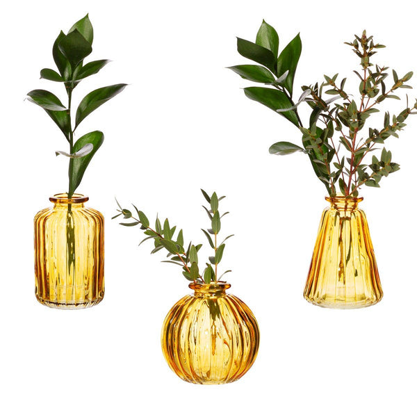 Yellow Glass Bud Vases -  Sass & Belle