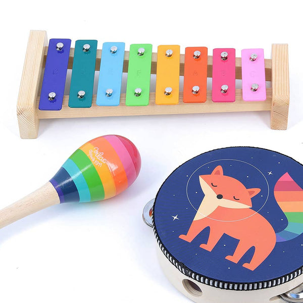 Colourful xylophone, maraca, and tambourine with a fox design on a white background