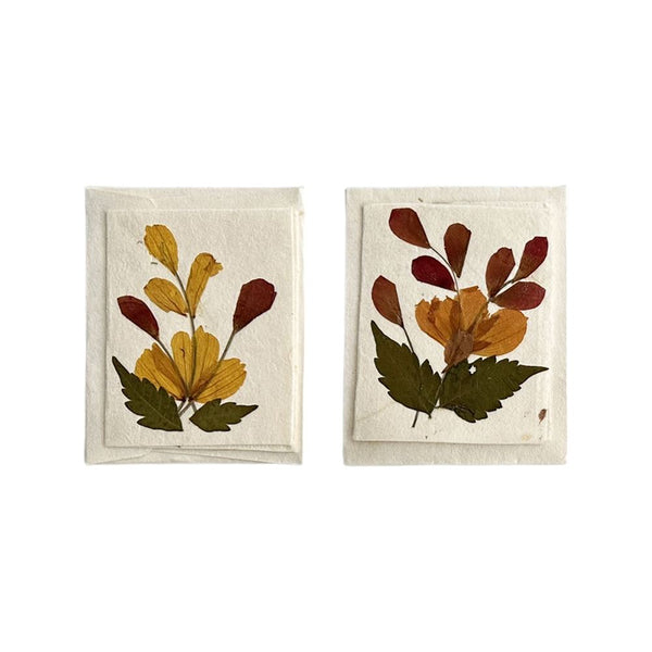 Two mini gift cards with pressed flowers on a white background