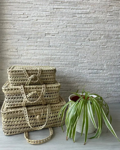 Three stacked woven baskets and a spider plant on a light surface against a textured wall.
