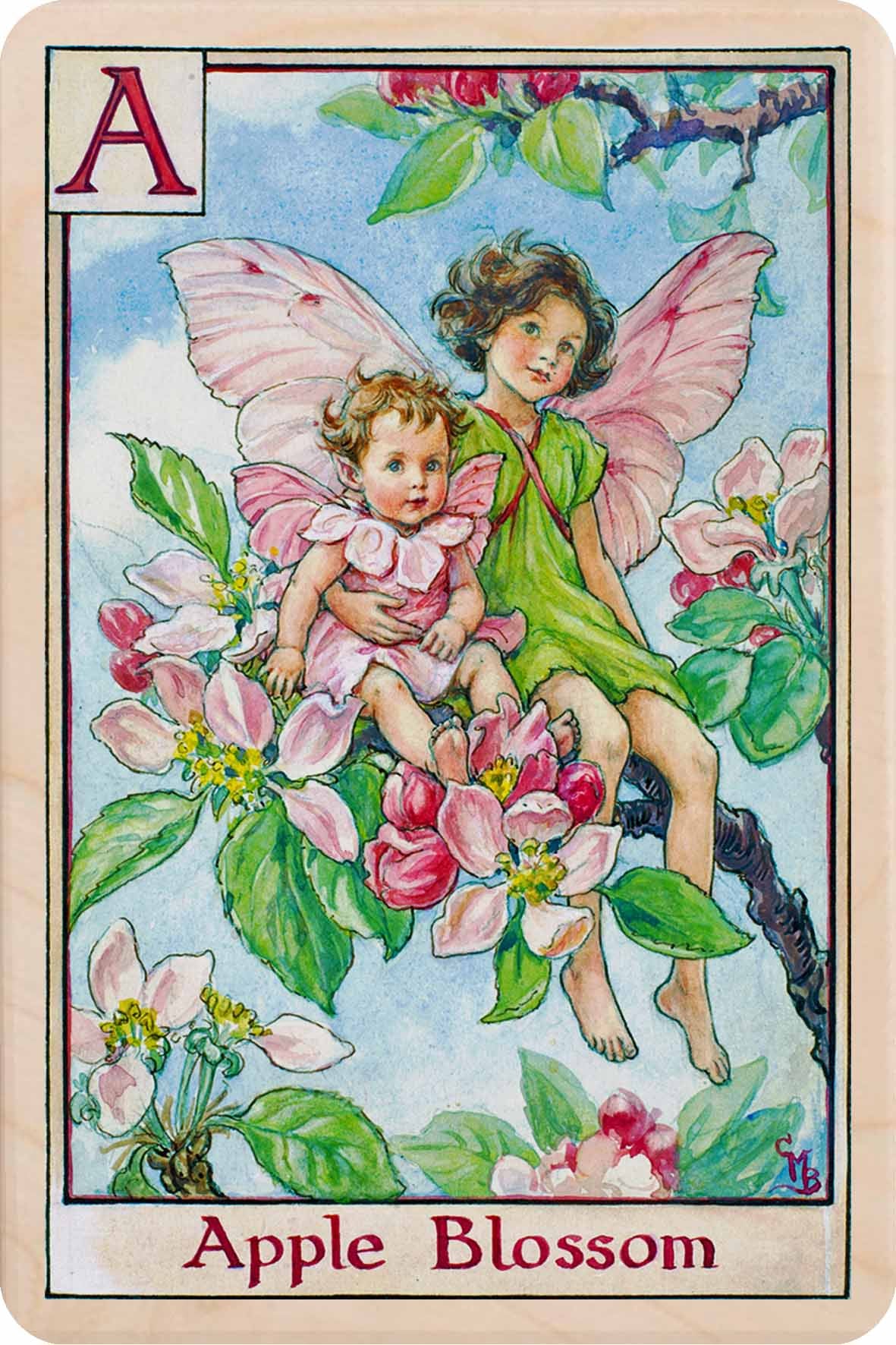 Apple Blossom Fairy Wooden Postcard - Cicely Mary Barker