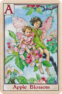Apple Blossom Fairy Wooden Postcard - Cicely Mary Barker