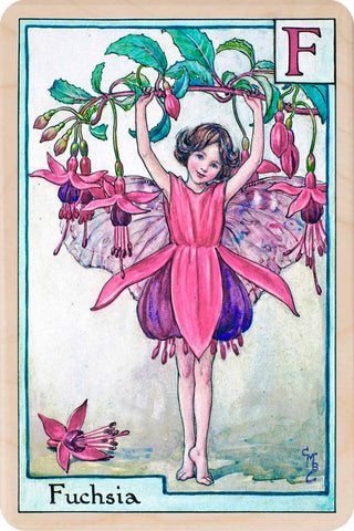 Fuchsia Fairy Wooden Postcard - Cicely Mary Barker