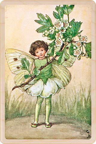 May Fairy Wooden Postcard - Cicely Mary Barker