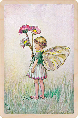 Daisy Fairy Wooden Postcard - Cicely Mary Barker