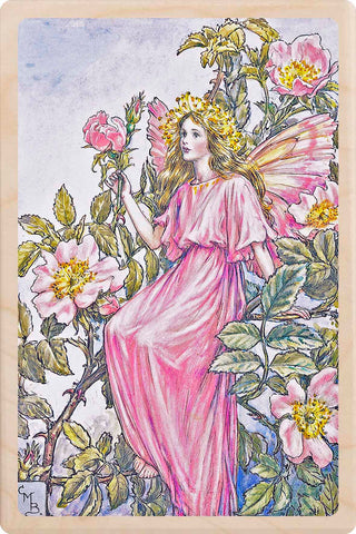 Wild Rose Fairy Wooden Postcard