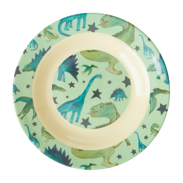 Mint Dinosaur Print Melamine Bowl - Rice DK