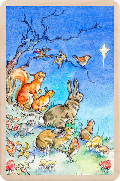 Look at the Christmas Star! Wooden Postcard