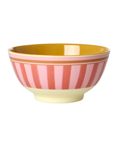 Colourful striped bowl on a white background