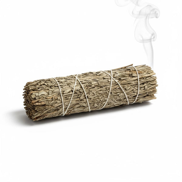 Bundled sage stick on a white background