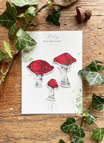 Packaging of mushroom-shaped stickers on a wooden surface with ivy leaves.