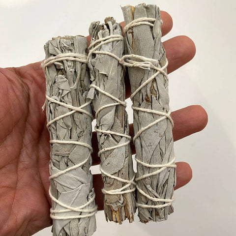 Three bundles of sage wrapped in twine held in a hand against a white background