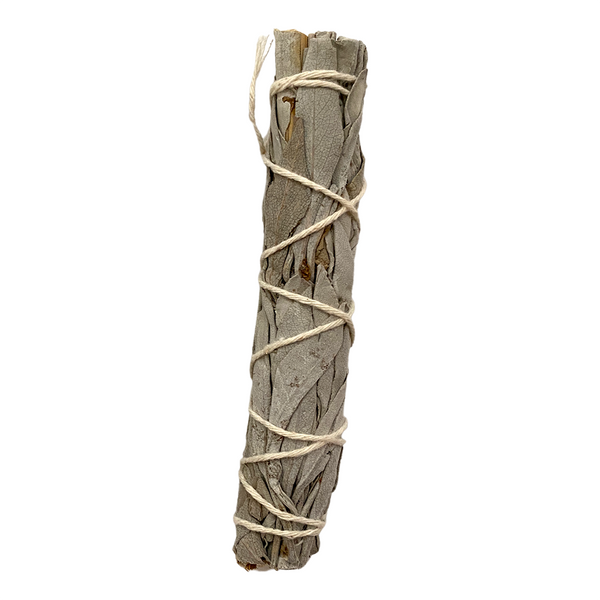 Bundled sage stick on a white background