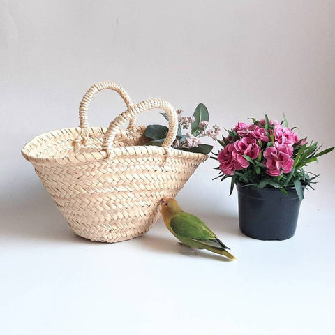 Woven basket, green parrot, and potted plant on a light background