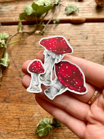 Hand holding mushroom-shaped stickers on a wooden surface with ivy leaves.