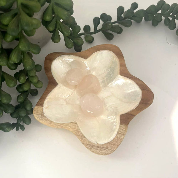 Wooden flower-shaped dish with stones on a white surface with green leaves in the background