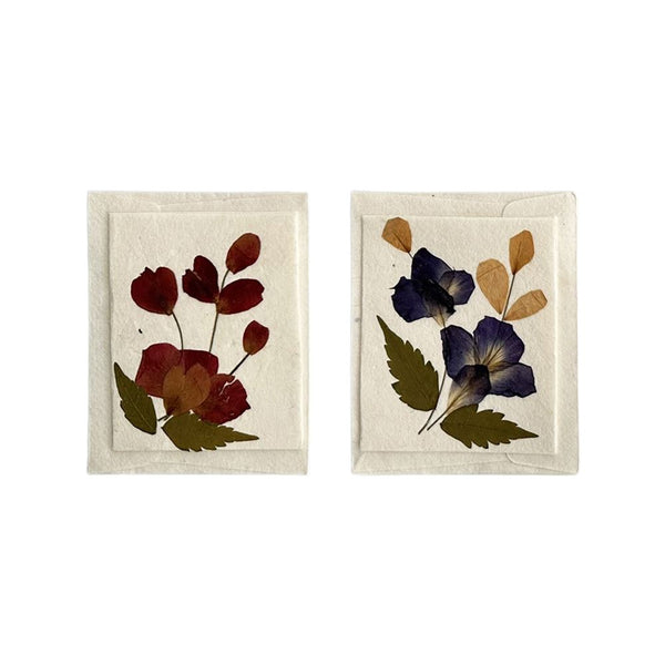 Two mini gift cards with pressed flowers on a white background